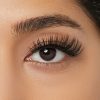 Lashes KISS Full Glam | Holiday Multipack - Clear